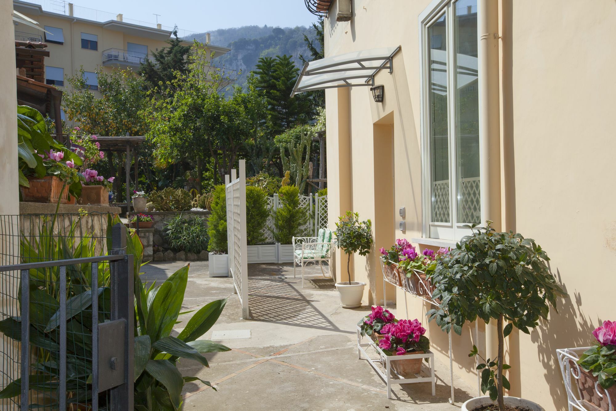 Dreaming Sorrento Suites Exteriér fotografie